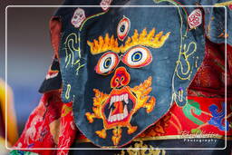 Festival of the Oracles, Matho (288)