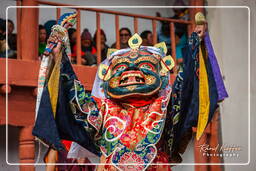 Festival of the Oracles, Matho (517)