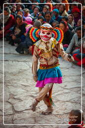 Festival of the Oracles, Matho (637)