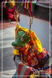 Festival of the Oracles, Matho (661)