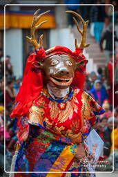 Festival of the Oracles, Matho (755)