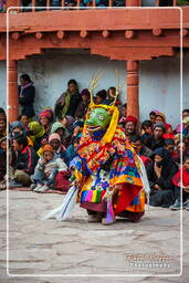 Matho (773) Festival of the Oracles