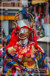 Festival of the Oracles, Matho (776)