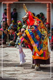 Matho (783) Festival of the Oracles