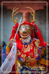 Festival of the Oracles, Matho (789)