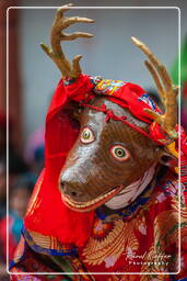 Festival of the Oracles, Matho (791)