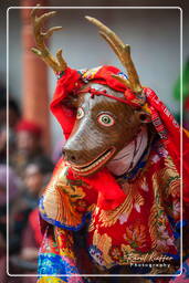 Festival of the Oracles, Matho (792)
