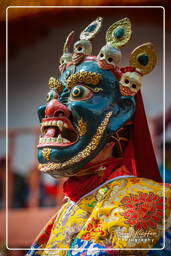 Festival of the Oracles, Matho (808)
