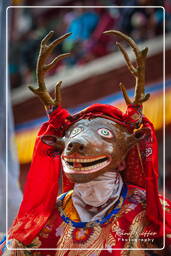 Festival of the Oracles, Matho (821)