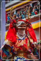 Festival of the Oracles, Matho (838)