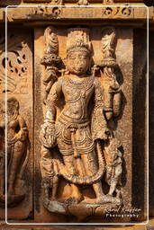 Sahasra Bahu Temples, Nagda (42)