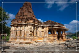 Sahasra Bahu Temples, Nagda (51)