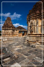 Sahasra Bahu Temples, Nagda (119)