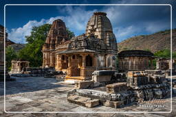 Sahasra Bahu Temples, Nagda (122)