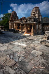 Sahasra Bahu Temples, Nagda (124)