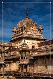 Jahangir Mahal, Orchha (87)