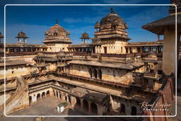 Jahangir Mahal, Orchha (155)