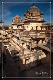 Jahangir Mahal, Orchha (163)
