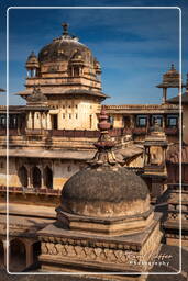 Jahangir Mahal, Orchha (175)