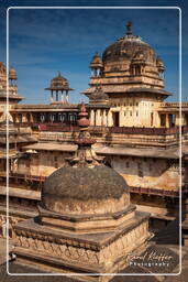 Jahangir Mahal, Orchha (190)