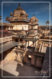 Jahangir Mahal, Orchha (240)