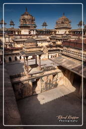 Jahangir Mahal, Orchha (250)