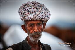 Pushkar Camel Fair (Kartik Mela), Pushkar (24)
