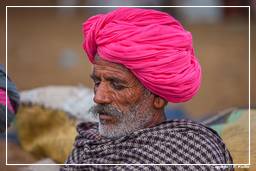 Pushkar (66) Foire aux chameaux de Pushkar (Kartik Mela)