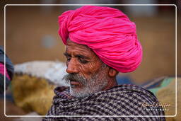 Pushkar (66) Feira de camelos de Pushkar (Kartik Mela)