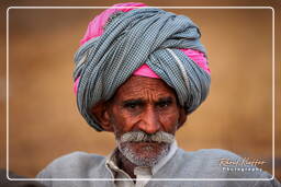 Pushkar Camel Fair (Kartik Mela), Pushkar (68)