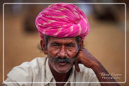 Pushkar (70) Feira de camelos de Pushkar (Kartik Mela)