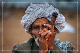 Pushkar Camel Fair (Kartik Mela), Pushkar (79)