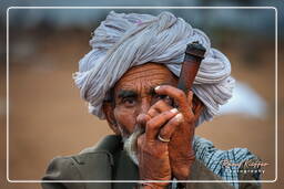 Pushkar (79) Pushkar Camel Fair (Kartik Mela)