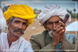 Pushkar (81) Foire aux chameaux de Pushkar (Kartik Mela)