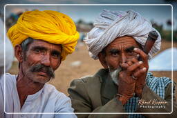 Pushkar (81) Pushkar Camel Fair (Kartik Mela)