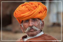 Pushkar (88) Fiera dei cammelli di Pushkar (Kartik Mela)