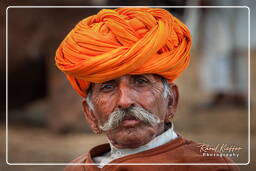 Pushkar (88) Pushkar Camel Fair (Kartik Mela)