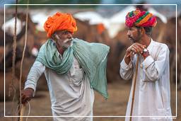 Pushkar (91) Foire aux chameaux de Pushkar (Kartik Mela)