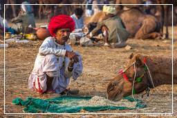 Pushkar (1003) Fiera dei cammelli di Pushkar (Kartik Mela)