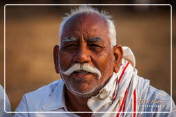Pushkar Camel Fair (Kartik Mela), Pushkar (1012)