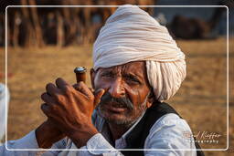 Pushkar Camel Fair (Kartik Mela), Pushkar (1024)