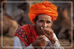 Pushkar (1056) Fiera dei cammelli di Pushkar (Kartik Mela)