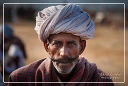 Pushkar Camel Fair (Kartik Mela), Pushkar (1061)