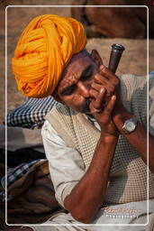 Pushkar (1110) Fiera dei cammelli di Pushkar (Kartik Mela)