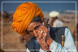 Pushkar (1121) Fiera dei cammelli di Pushkar (Kartik Mela)