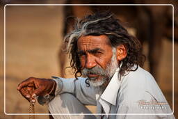 Pushkar Camel Fair (Kartik Mela), Pushkar (1150)