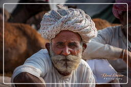 Pushkar (1205) Pushkar Camel Fair (Kartik Mela)