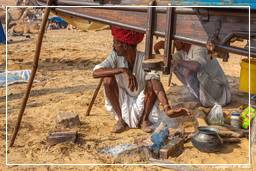 Pushkar (1248) Feria de camellos de Pushkar (Kartik Mela)