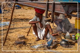 Pushkar (1248) Fiera dei cammelli di Pushkar (Kartik Mela)