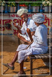 Pushkar Camel Fair (Kartik Mela), Pushkar (1283)